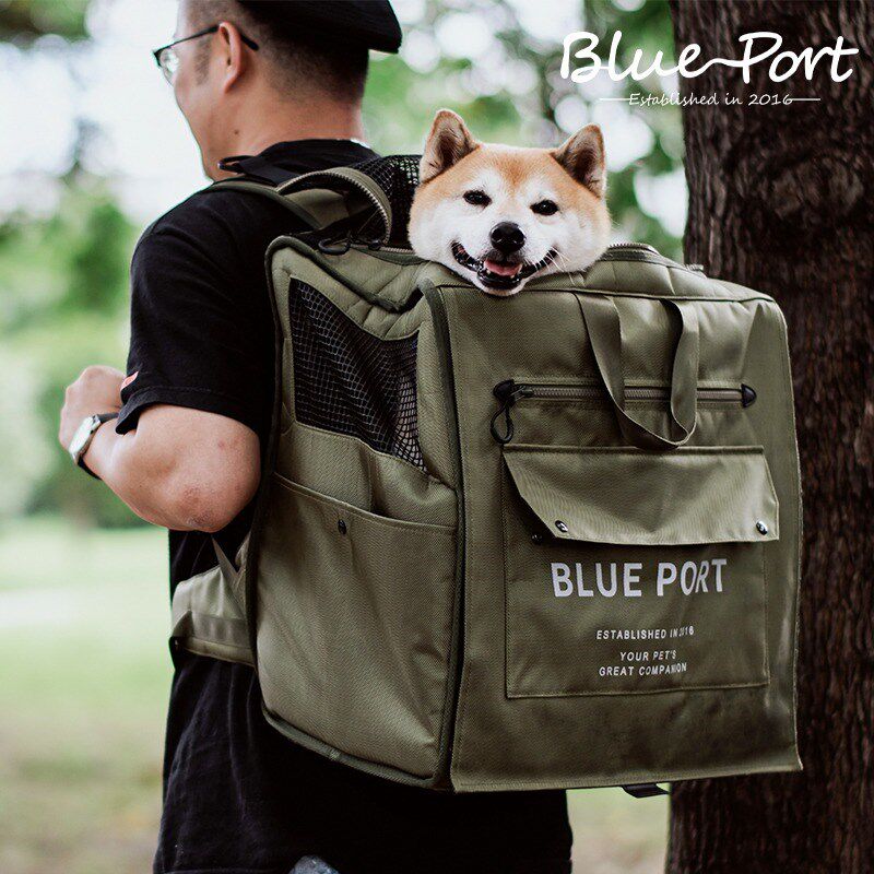 blueport宠物外出双肩背包犬猫通用旅行包防应激通风大号狗包手提