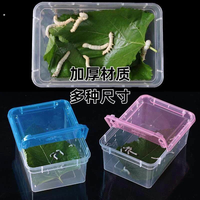 蚕宝宝盒子养蚕专用盒饲养盒爬宠饲养箱养蚕用的盒子高透塑料盒