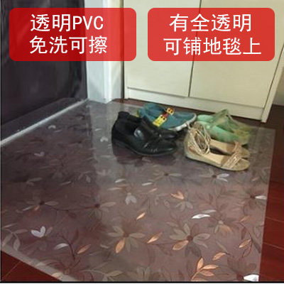 透明地垫家用2mm超薄地毯进门门厅可擦免洗门垫脚垫塑料pvc防滑垫