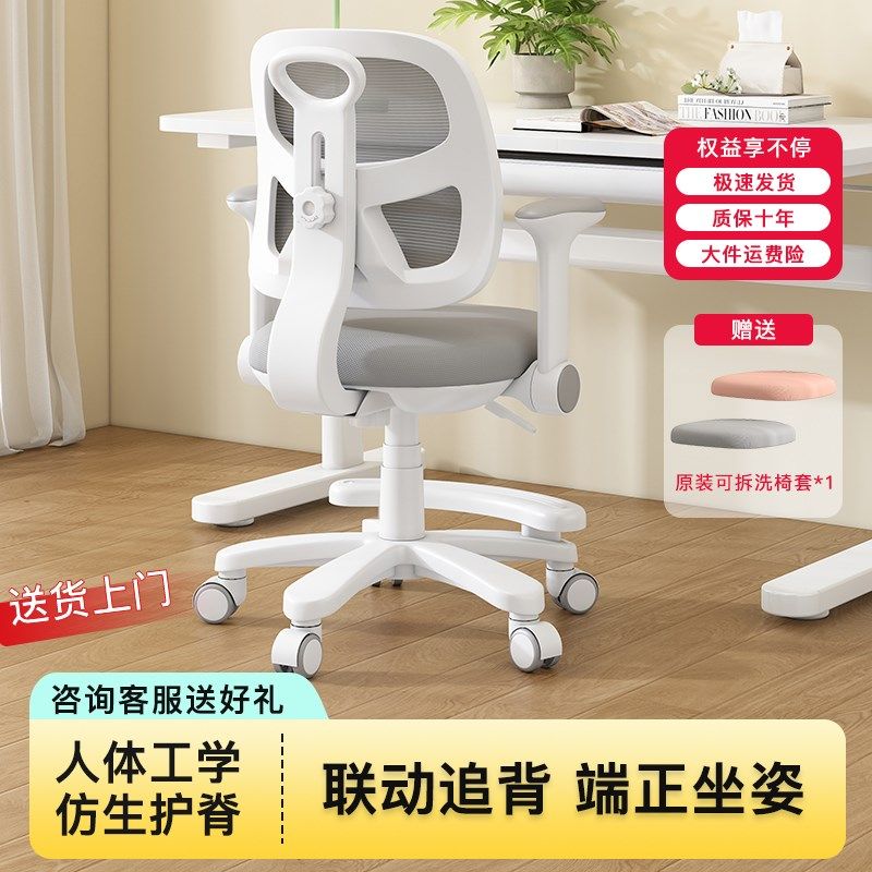 儿童学习椅小学生椅子家用写字椅可升降调节凳子写作业专用书桌椅