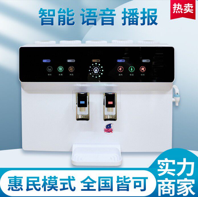 触摸净水器家用直饮加热一体机厨房反渗透ro纯水机饮水机语音款