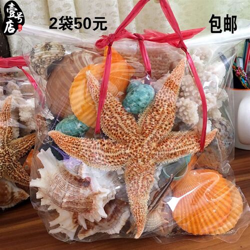 天然大贝壳大海星珊瑚石工艺礼品摆饰装饰品道具鱼缸造景贝壳摆th
