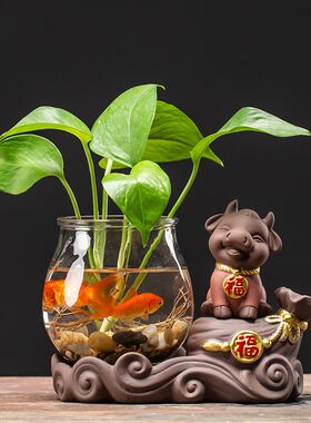 水培绿萝玻璃瓶透明养花花瓶水养鱼桌面陶瓷插花器皿居家装饰摆件