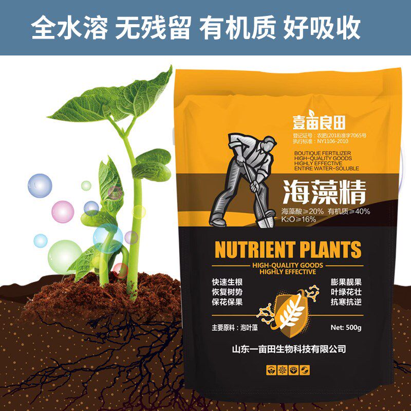 海藻精肥料原粉叶面肥营养肥水溶肥冲施促根壮苗果树草莓蔬菜柑橘