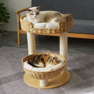 绿尚实木柱子藤编猫爬架猫窝猫树剑麻四季通用猫跳台猫抓板猫别墅