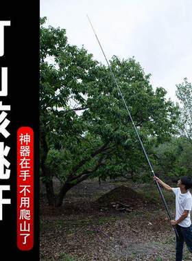 打山核桃专用伸缩杆子体杆碳素加厚硬质保年板栗加固多用