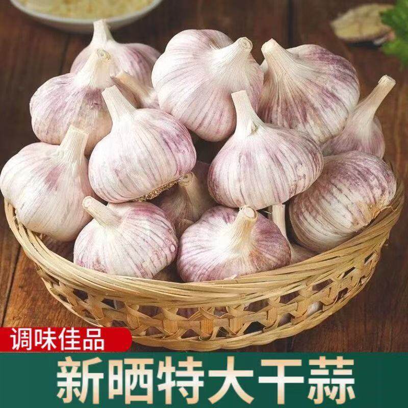 河南杞县新晒紫白皮干蒜特大果