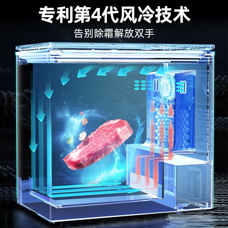 星星冰柜风冷无霜小型120/200升L家用全冷冻冰柜速冻冷藏保鲜冷柜