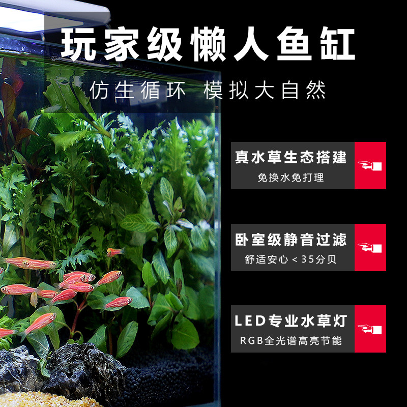 鱼缸客厅生态小型造景全套自循环系统观赏家庭电视柜旁一体免换水