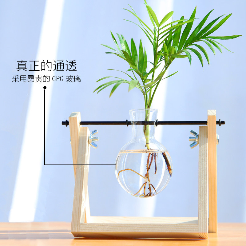 护眼水培植物玻璃瓶水养桌面摆件宿舍办公室室内绿植小型盆栽绿萝