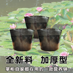荷花盆加厚一次性黑色塑料无孔碗莲盆水生植物育苗盆睡莲盆营养钵