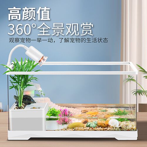乌龟饲养缸家用带晒台爬台养龟专用箱客厅生态造景塑料小鱼缸带盖