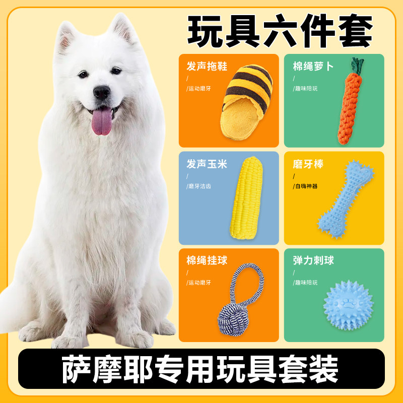 萨摩耶犬用玩具套装耐咬发声宠物狗磨牙玩具小型犬解闷幼犬用品图片