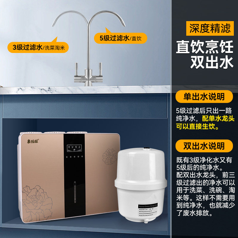 净水器家用直饮净水机RO反渗透厨房自来水过滤器纯水机100G带桶