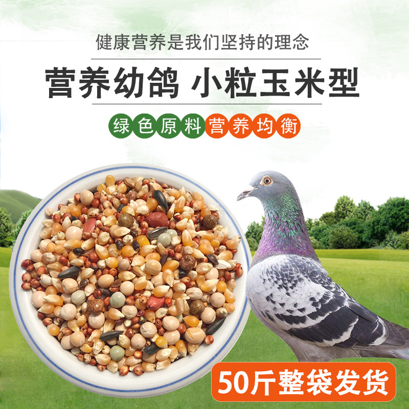 美顿宝小粒玉米50斤鸽子粮赛飞营养喷窝饲料鸟食观赏肉鸽用品斑鸠