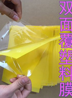 黄色粘虫板黄板双面诱虫板包邮飞虫粘虫蓝板黏虫板果园大棚防虫板