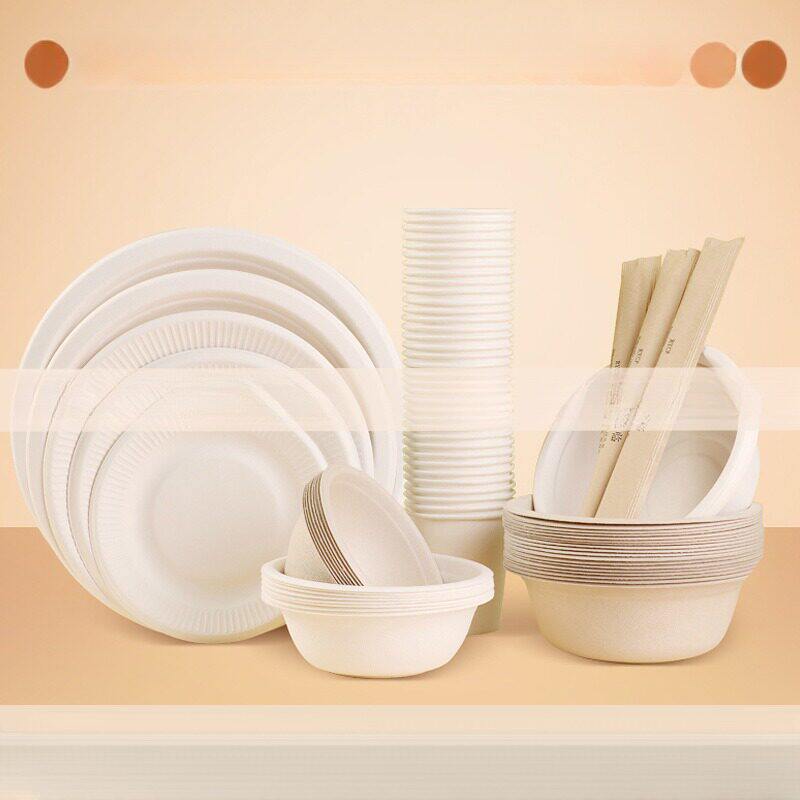 双鱼一次性纸盘子手工创意手绘画涂鸦纸盘蛋糕盘可降解餐具