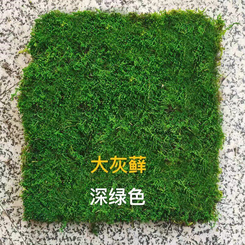 永生苔藓墙仿真植物背景墙白发藓苔藓青苔草坪装饰仿真白盆景铺面