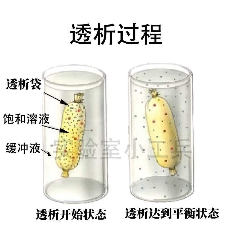 进口透析袋30000分子量30kda蛋白纯化除盐石墨烯离子缓释量子点