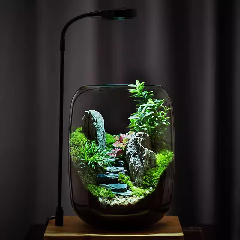 苔藓微景观生态瓶桌面创意小摆件办公室盆栽造景植物玻璃瓶养鱼缸