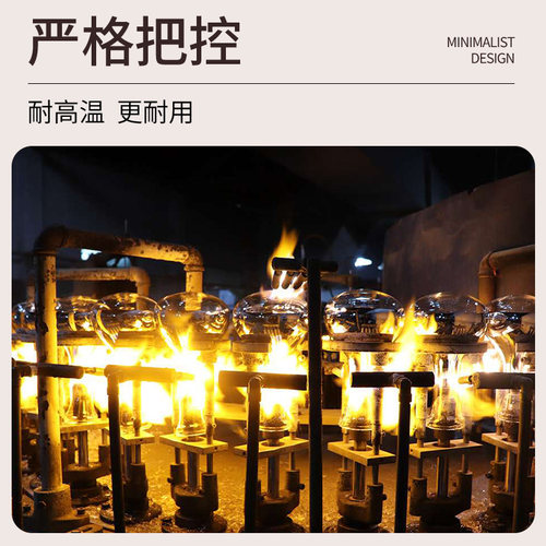 保温灯养殖场专用养猪设备小鸡育雏鹦鹉芦丁鸡保温灯泡用加热灯泡
