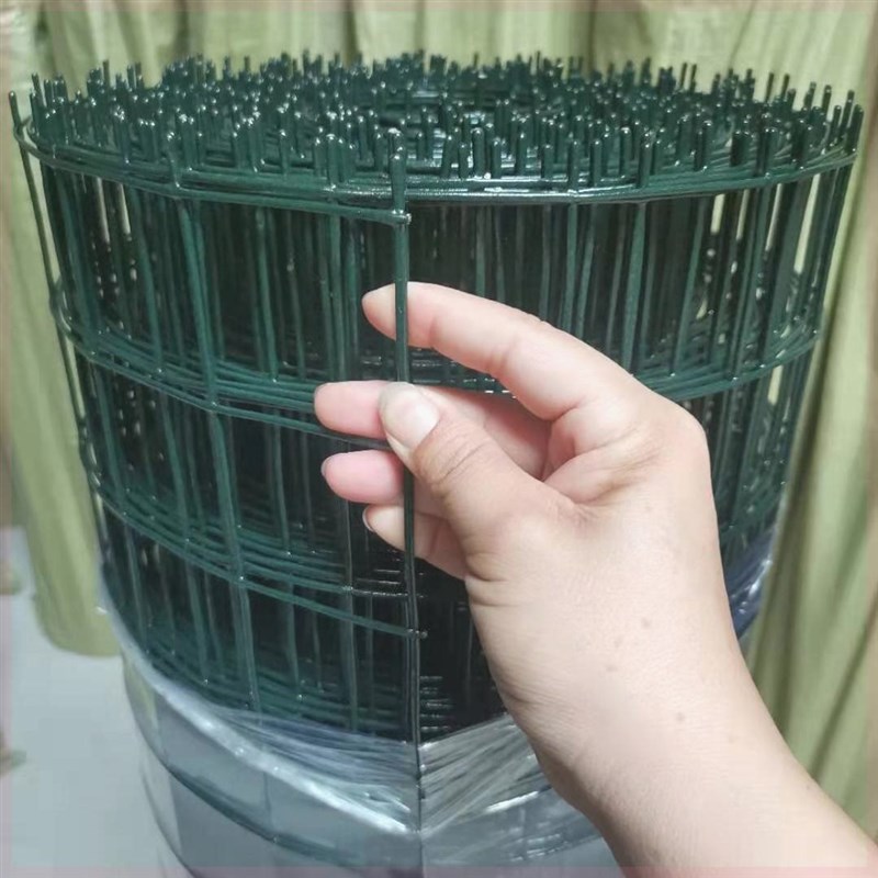 硬质塑料网栅栏荷兰网养殖网鸡网栅栏铁丝网家庭护栏防护网
