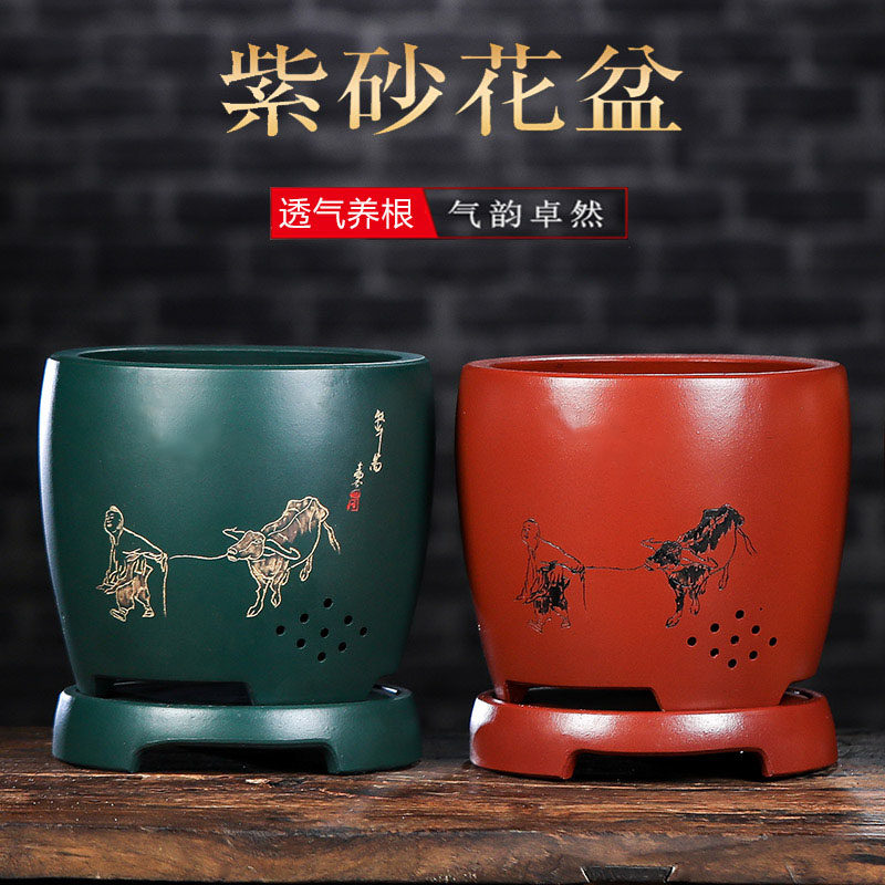 大号紫砂花盆带托盘君子兰花盆景盆蝴蝶兰绿萝文竹植物家用中国风