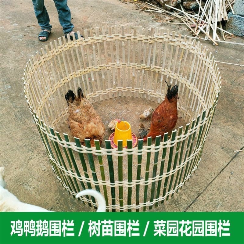 竹编鸡围栏围网围挡围墙篱笆竹编围鸡鸭围栏竹围栏鸡围栏耐用