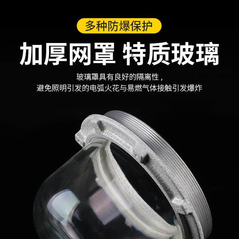 BBJ-3防爆声光报警器LED警示灯消防燃气信号灯180分贝报警220V24V