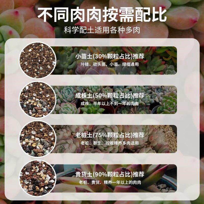 多肉颗粒土专用营养土植物泥炭种植土壤肉肉叶插小苗老桩颗粒花土