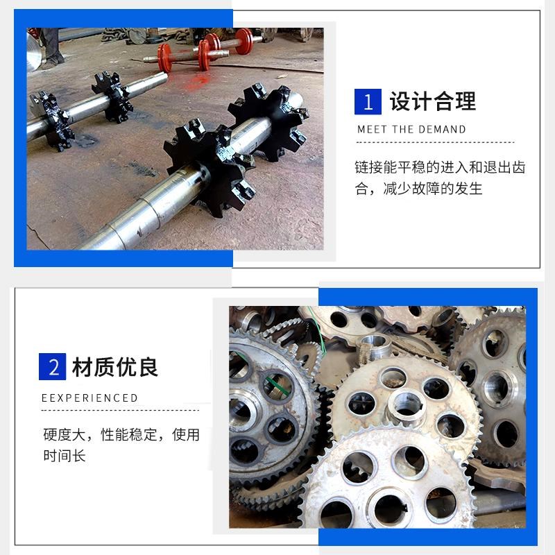 提升机链轮 斗提机头尾轮板链非标定制尺寸 链轮来图加工