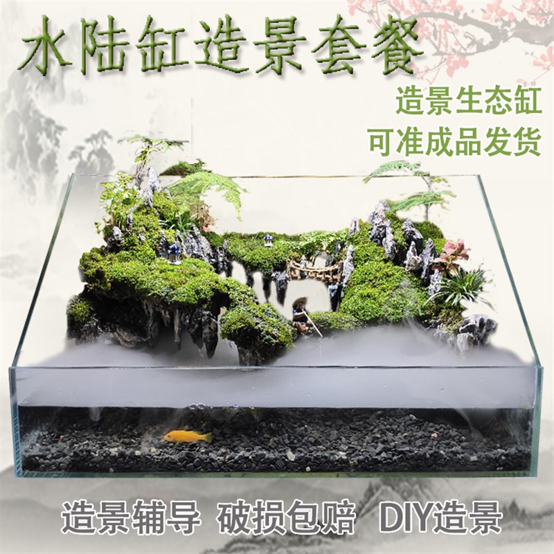 免换水生态造景缸成品懒人骨架造景布景套餐材料天然水陆缸雨林缸