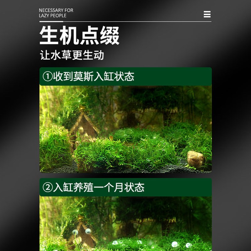 鱼缸水草造景莫斯水草懒人真植物鱼虾躲避罐虾屋小摆件小鱼躲避屋