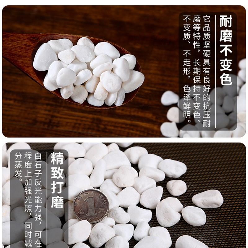 浙江庭院铺路铺地小白石子园林枯山水白石子天然颗粒养花多肉盆栽