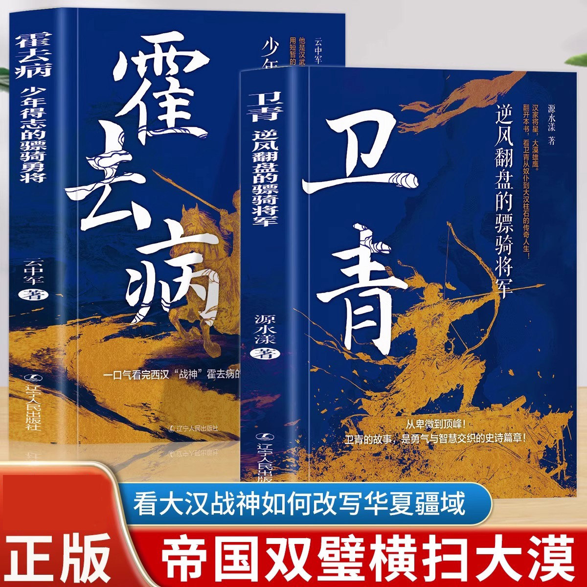 霍去病 少年得志的骠骑勇将 卫青 逆风翻盘的骠骑将军璀璨的新星