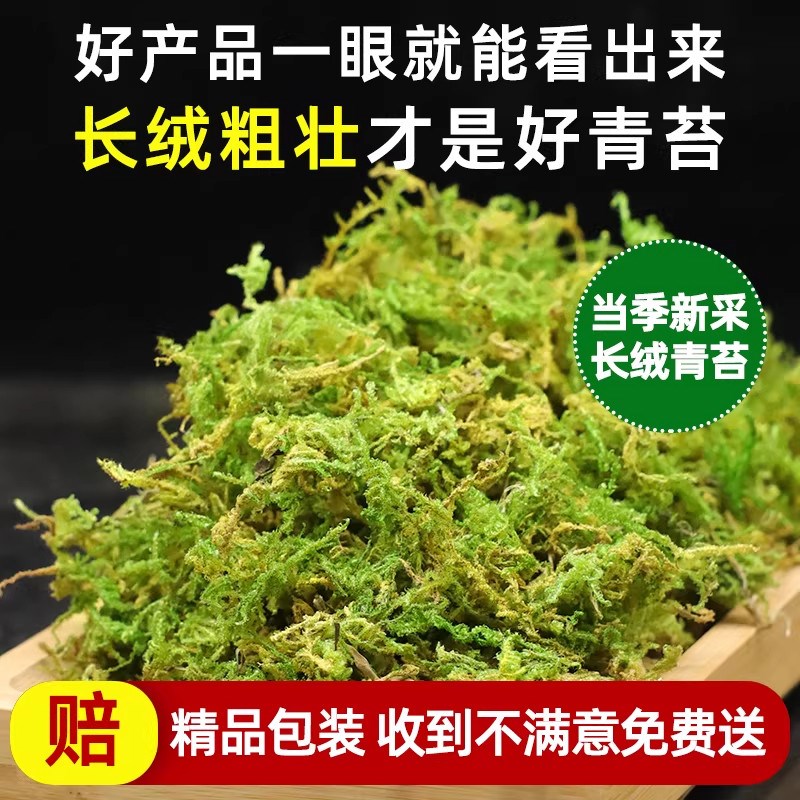 青苔干藓蝴蝶兰专用水苔苔兰花石斛种植专用土营养土植料乌龟水台
