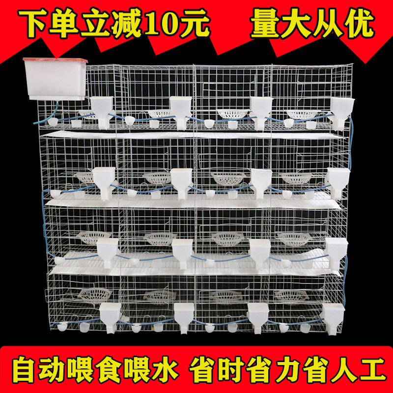 鸽子笼家用繁殖配对笼巢箱笼养鸽子专用大号肉鸽养殖笼元宝鸽笼