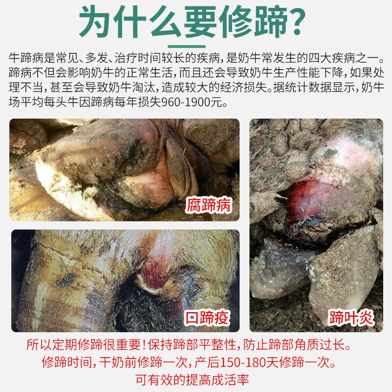 牛用修蹄刀盘奶牛修蹄工具合金修蹄剪刀修牛驴蹄子打磨机修牛蹄刀
