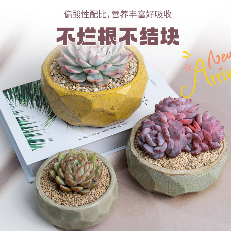 猫泥土高端生石花多肉植物专用营养土番杏PP控型土肉锥通用颗粒土