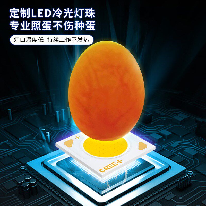 照蛋手电筒养殖鹦鹉照蛋器小鸡芦丁鸡照蛋灯孵化专用强光LED冷光