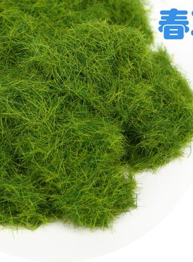 室内绿植仿真青苔苔藓植物绿草坪假草造景假山吸水石绿草装饰鱼缸