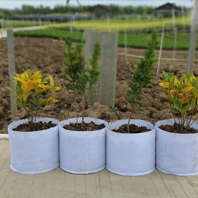 工厂直销 美植袋植树袋 控根器 无纺布育苗袋营养袋 移植袋种植袋