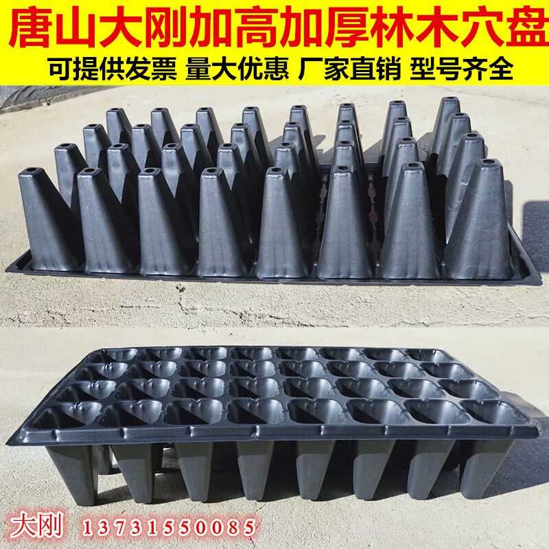 育苗盘塑料黑色一次性50穴育苗林木穴盘厂家直销营养钵蔬菜苗多孔
