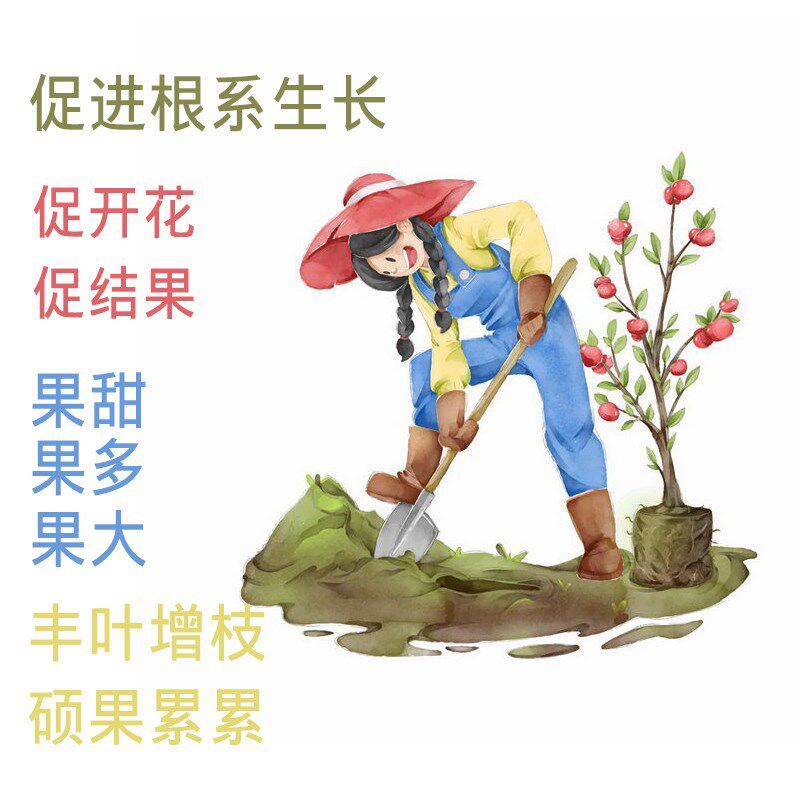 果树专用有机肥料家庭庭院使用通用通用型多元素氮磷钾橘子柚子等