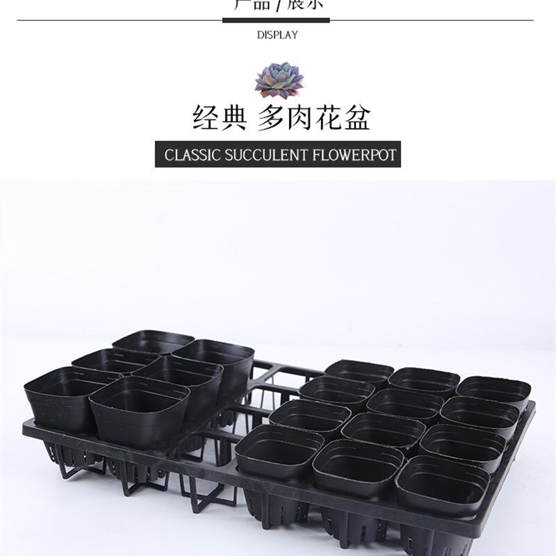 多肉花盆肉肉种植方盆 多肉小黑方杯托架 育苗盆塑料小黑方花盆