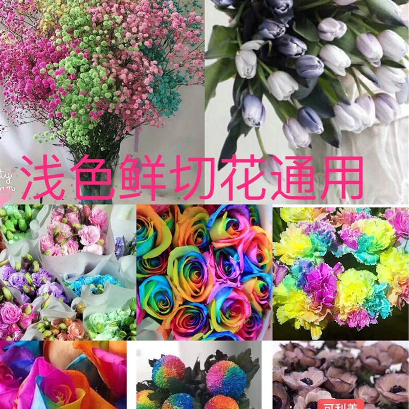 鲜花染色剂玫瑰喷色吸色漆吸染喷雾彩喷颜色颜料直专用染料花花艺