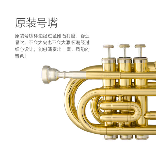津宝 手掌号JBMT-500 便携式小号 降B调袖珍短号 铜管乐器 新品
