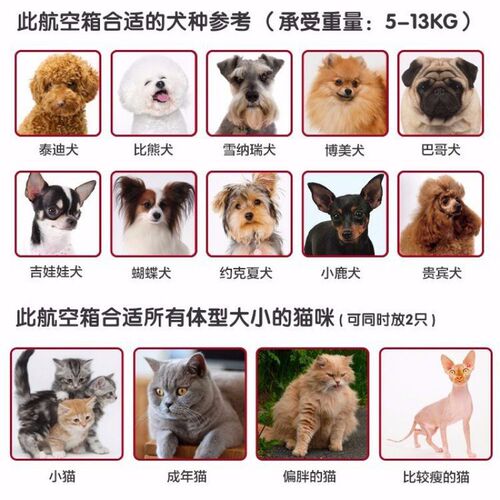 小型猫狗宠物笼便携航空箱折叠塑料提篮托运航空车载旅行外出运输
