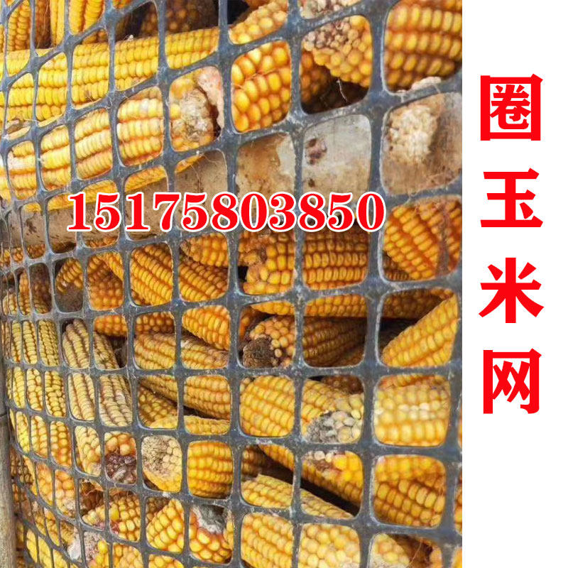 塑料土工格栅黑色胶网格养殖网养鸡围栏护栏网户外家用隔离防护网