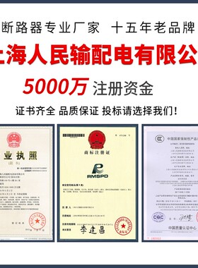 DZ20LE塑壳漏电断路器3N300 160A250A400A630A空气开关带漏电保护